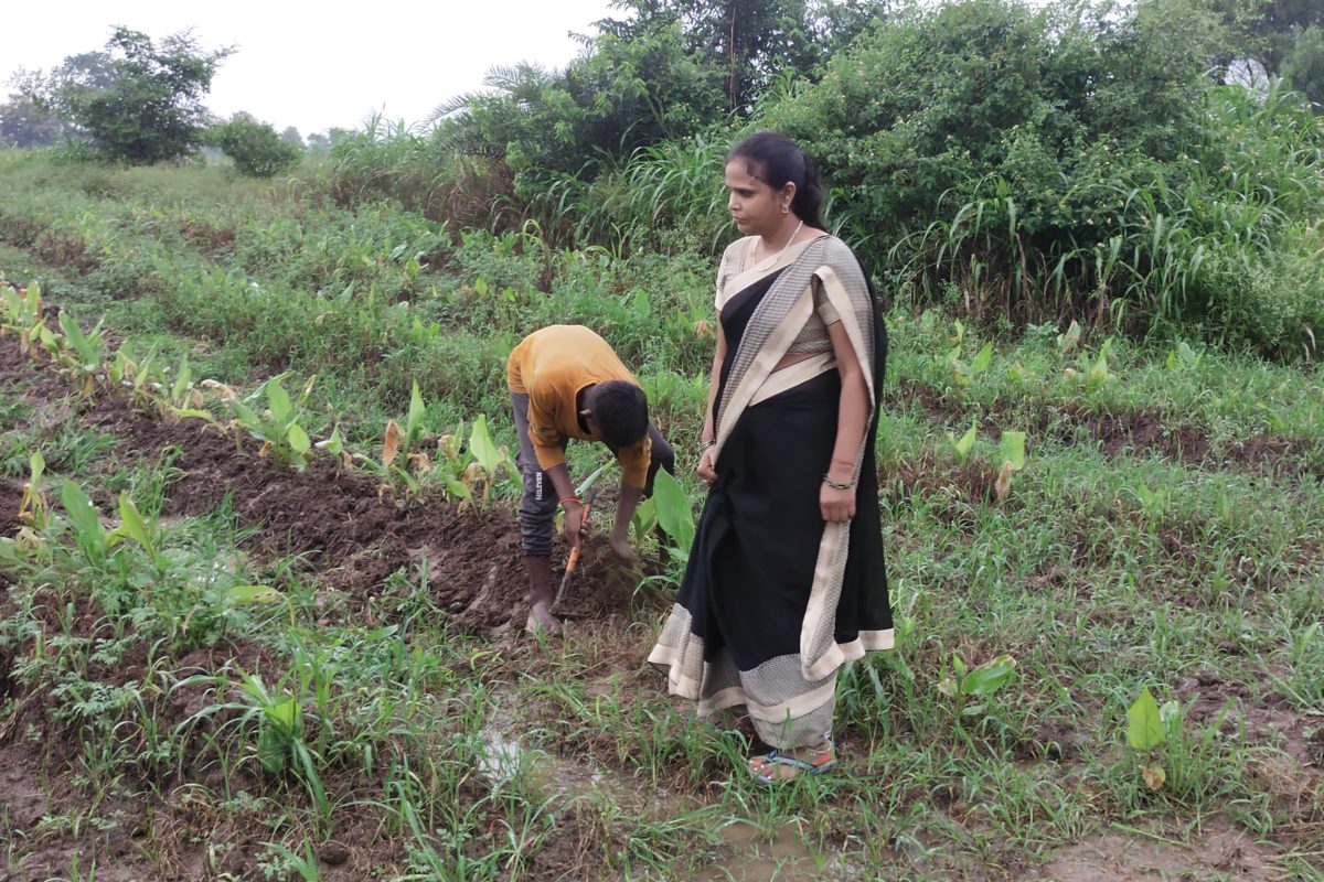 kanchan farmer