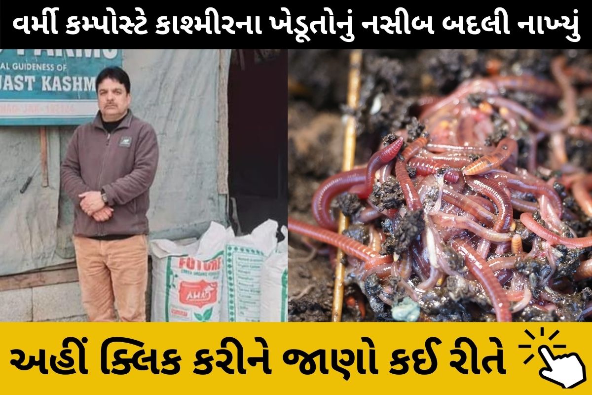 વર્મી કમ્પોસ્ટ